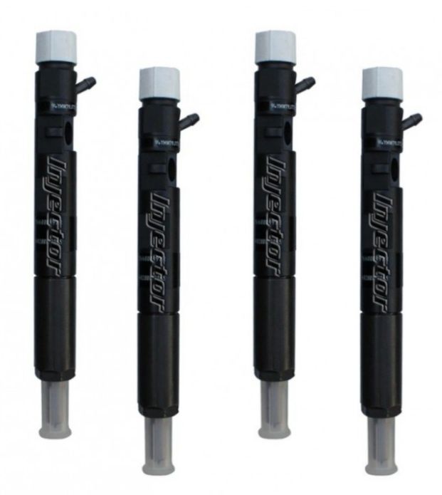 Injectoare Delphi Logan, Clio, Megan