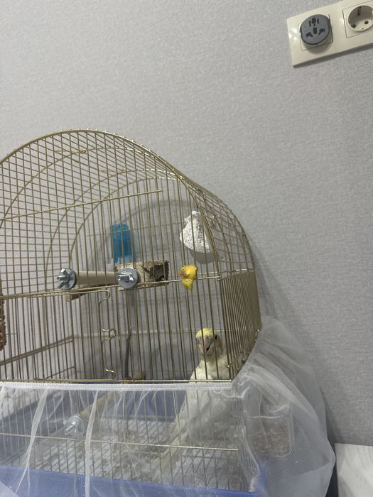 Клетка для попугая