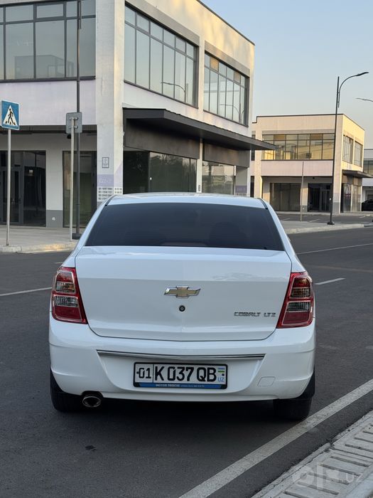 Cobalt Ltz 2021