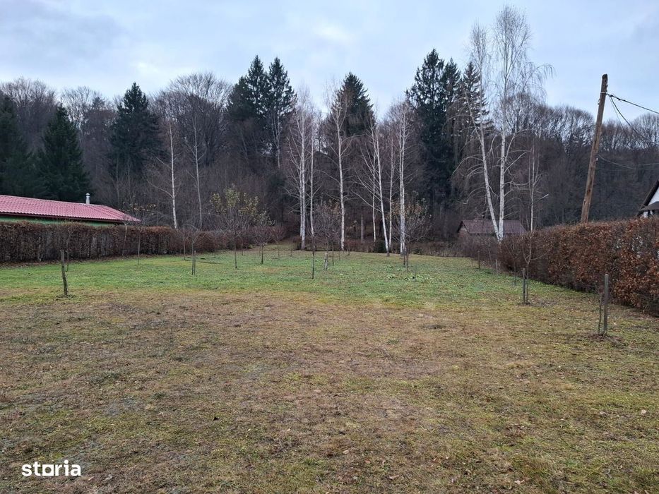 Teren 2000 mp, intravilan, langa padure,  pe Valea Avrigului-Sibiu