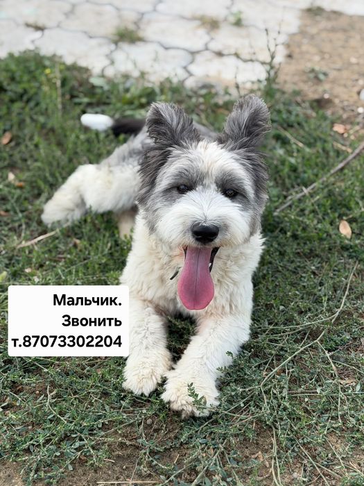 Мальчик 1 год. Красивый