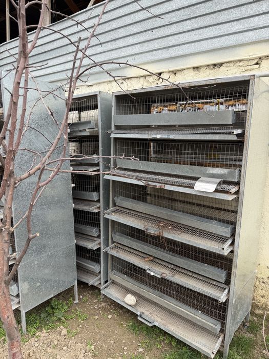 Сетка для перепелки, инкубатор