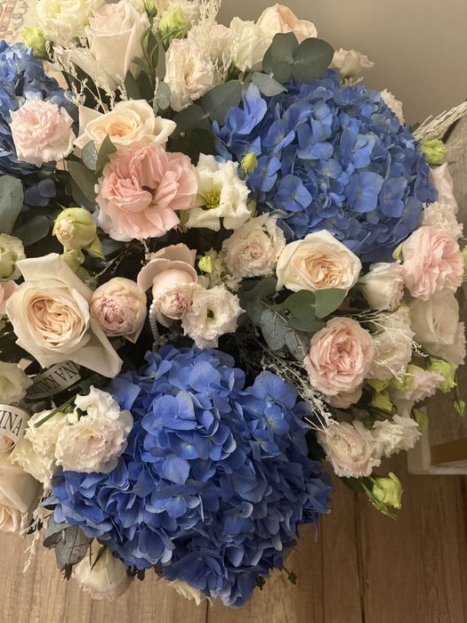 Продам цветы недорого