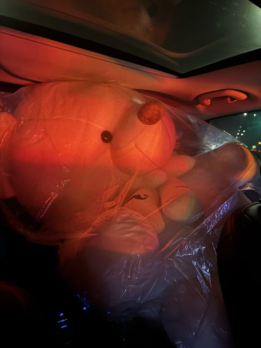 Мишка 1.70       .