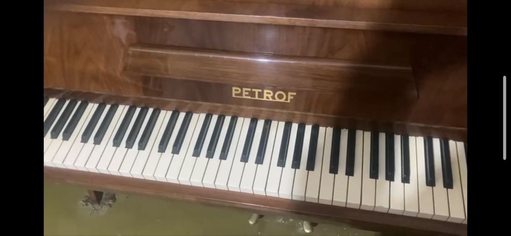 Фортепиано Petrof