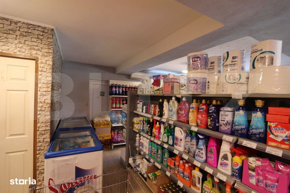 Spatiu comercial + teren, 163 mp utili, 983 mp, Matasaru/Poroinica