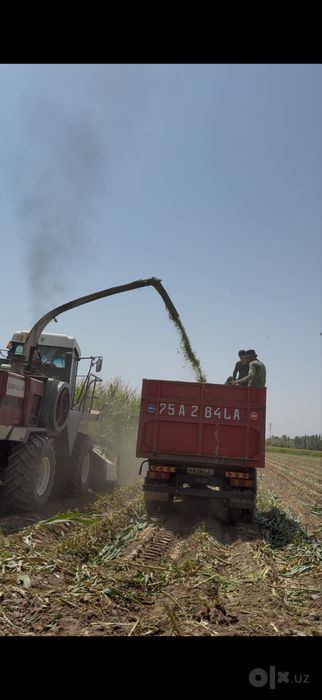 Makka silos donlari bilan