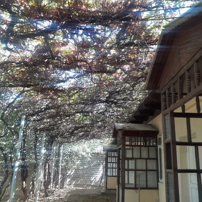 Keng katta barcha qulayliklarga ega honadon sotiladi