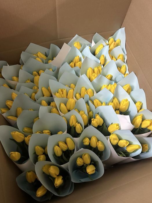 Тюльпаны в наличий с 5 марта