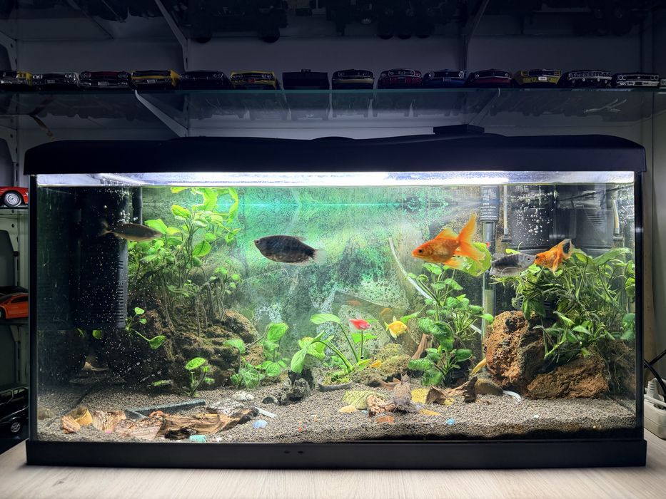 Acvariu 120l Complet