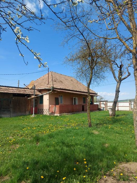 Vând casă în Cinta (jud.Mureș)