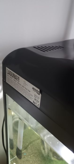 Acvariu cu pesti si accesorii