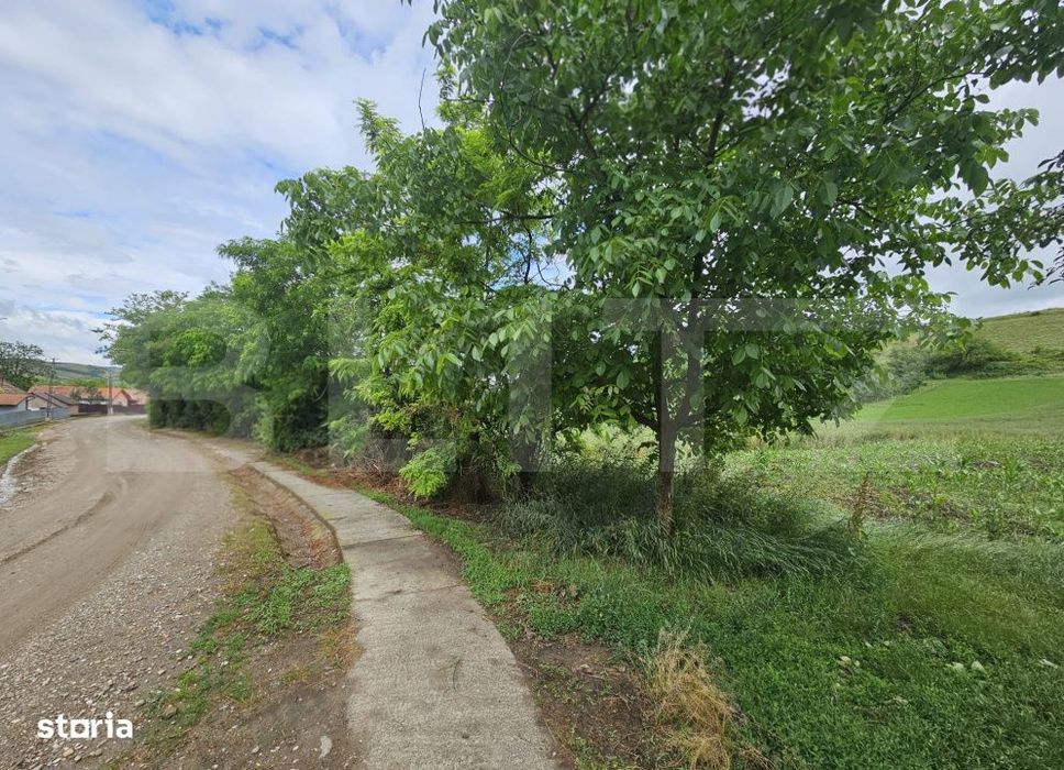 Teren intravilan 4.200 mp in Sancel, Toate utilitatile, Zona linistita