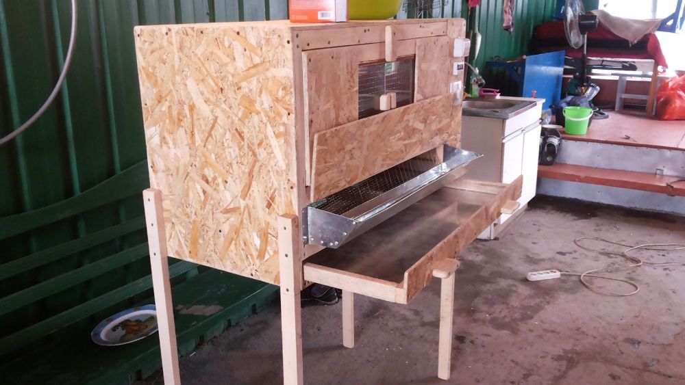 Брудер для цыплят