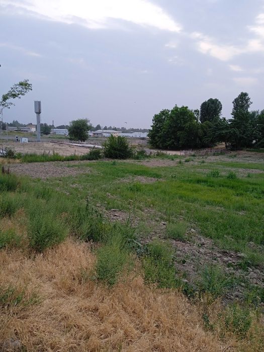 Yer sotiladi qurilish uchun ham dehqonchilik qilishgayam zór yerlar