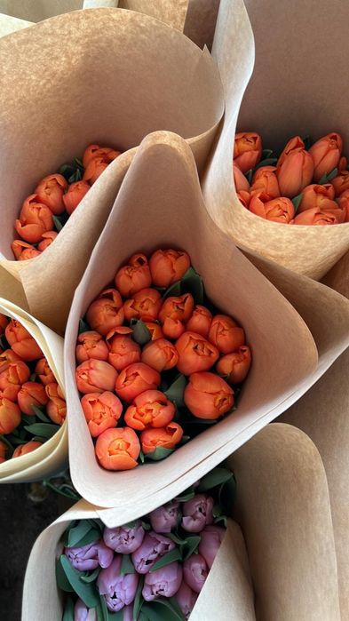 Тюльпаны к 8 марта