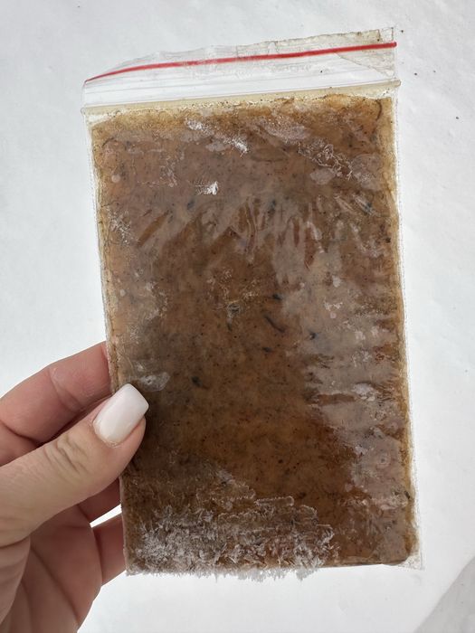 Замороженный корм для рыбок Стрептоцифал Аква Маркет Лермонтова 112