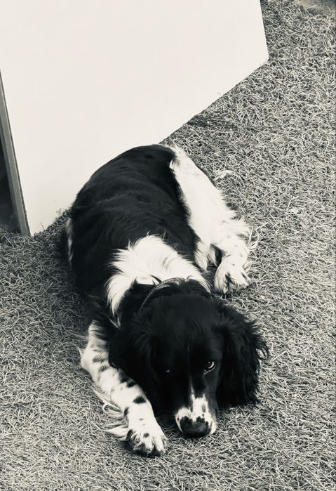 Мальчик для вязки