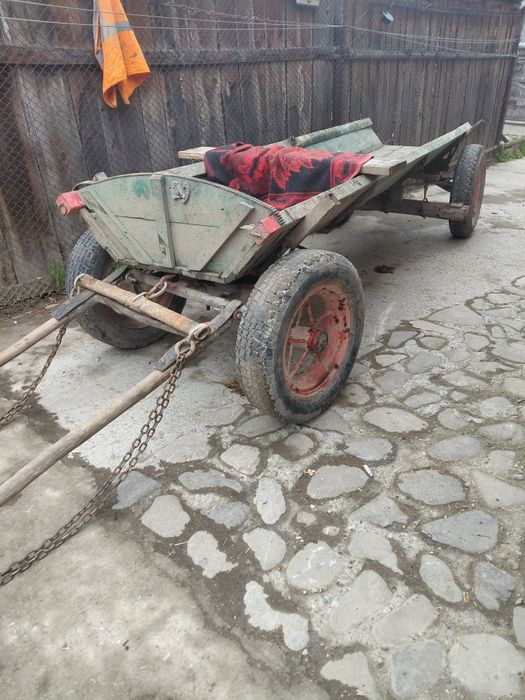 Cal castrat de vanzare inhamat tot