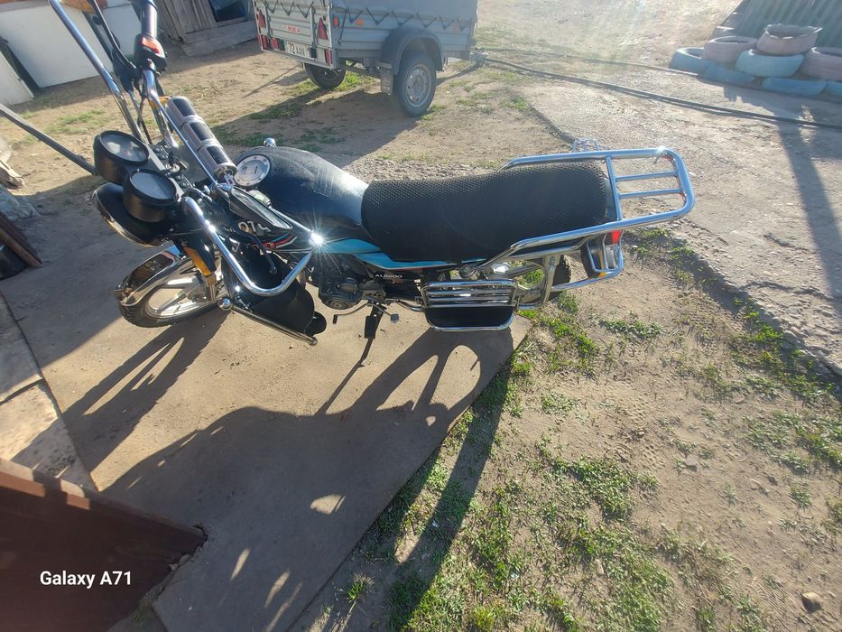 Продам любимчика в хорошие руки