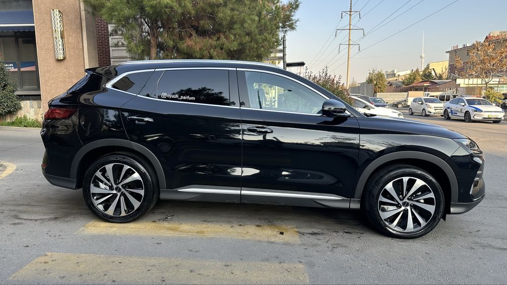 BYD champion 2023/2024 damashniy moshina