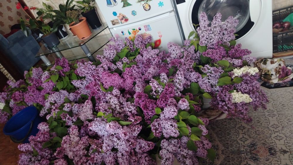 Отдам на 2500 здравствуйте