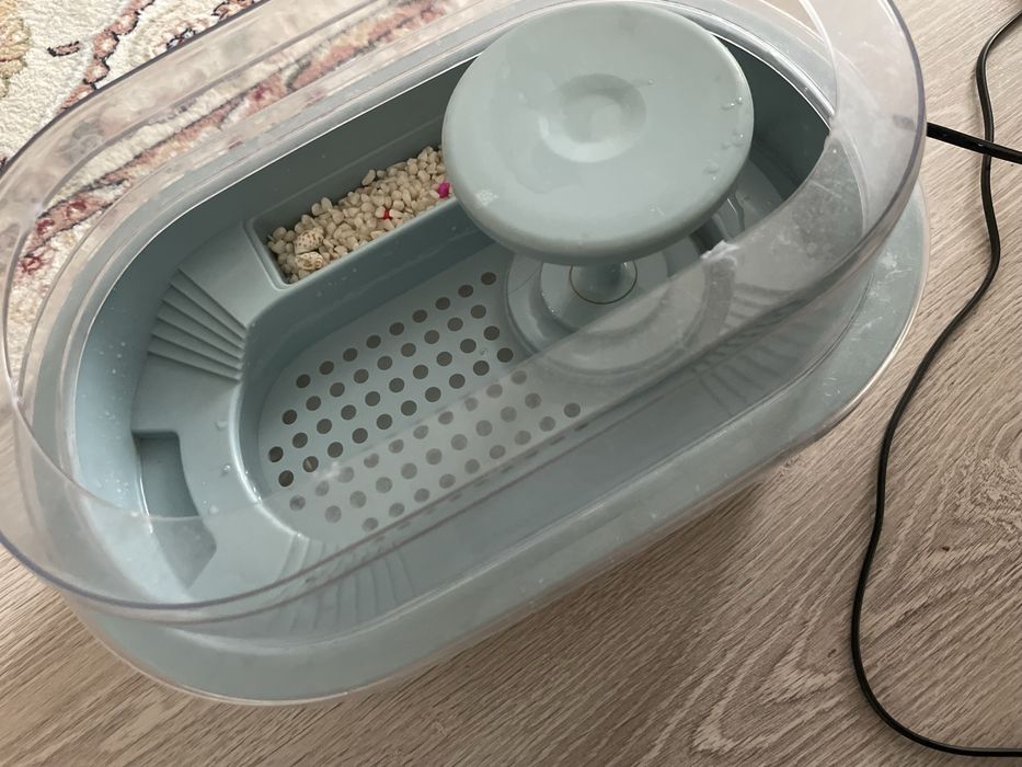 Продется черепахи