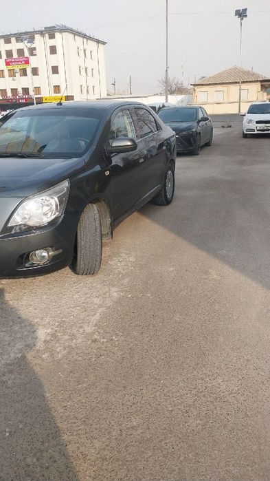 Kobilt yaxwi mowina ezilmagan