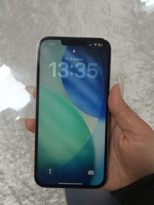 13 про макс 256гб