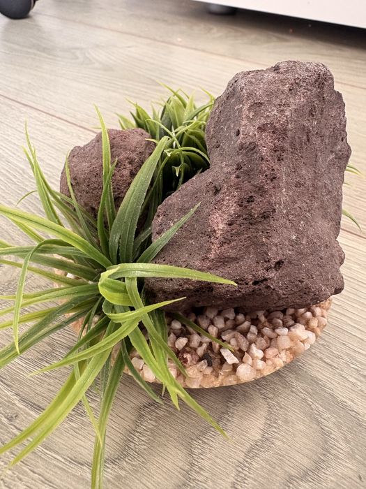 decor pentru acvariu