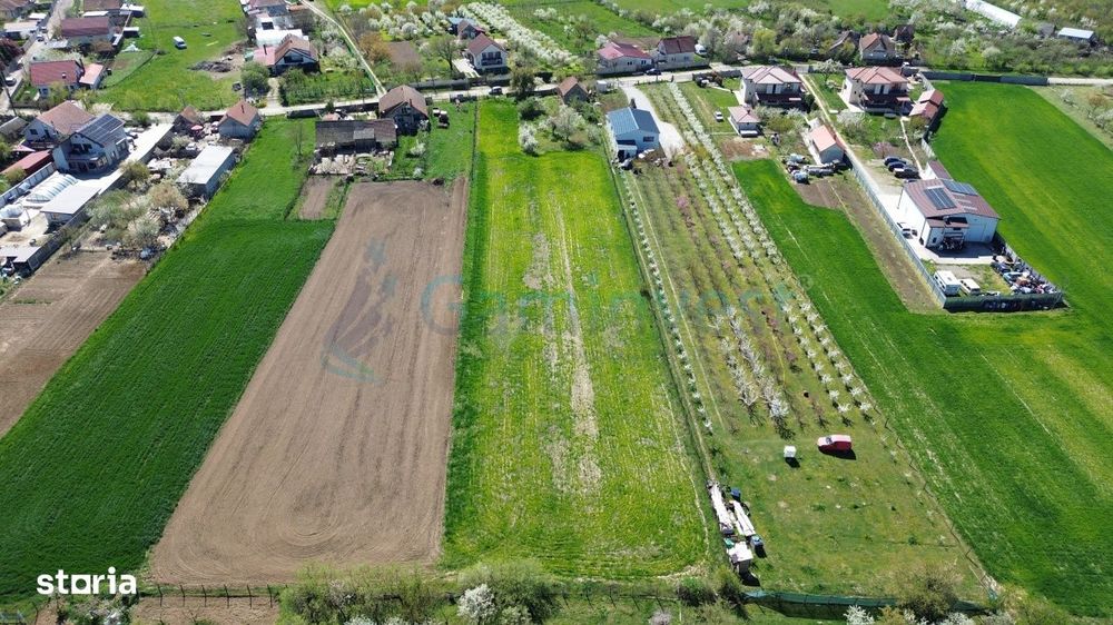 Teren intravilan pentru dezvoltare – Leș, Bihor, Gaminvest, V4506