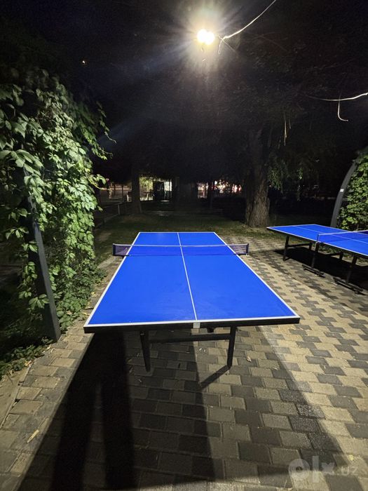 Настольный теннис Ping Pong