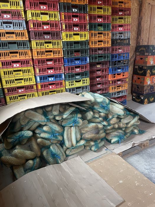 Tărâță de grâu si pâine furajeră