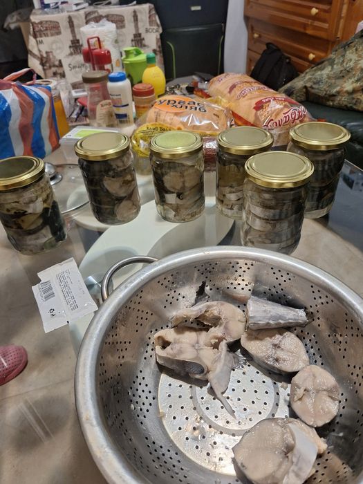 Паламуд чернокоп сафрид зарган и барбун