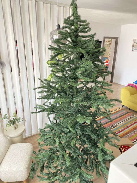 Vand brad artificial de Craciun 240 cm