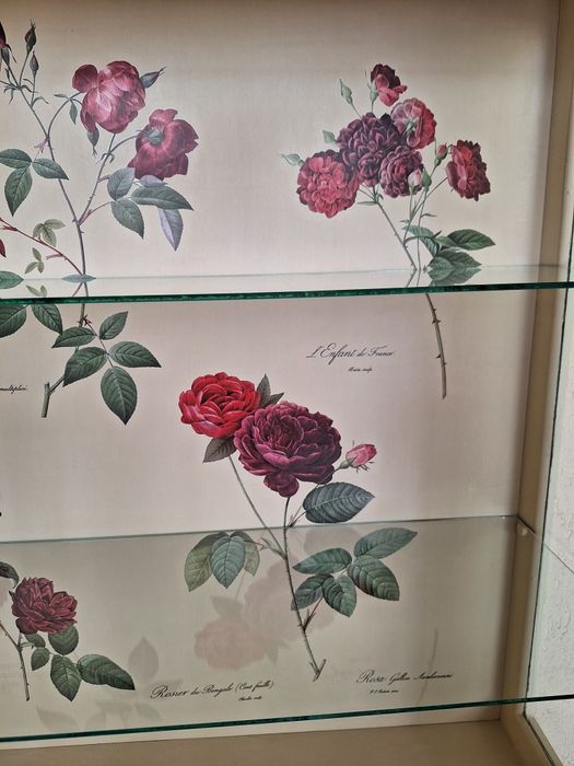 Vitrina reconditionata