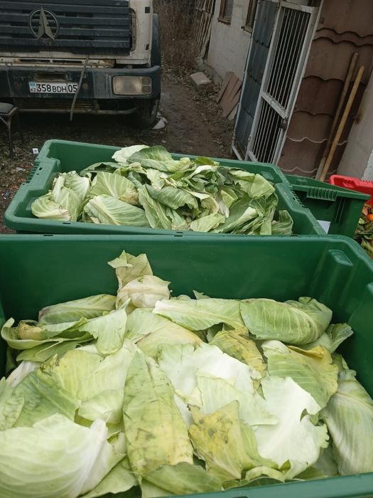 Отходы для сель хоз животных