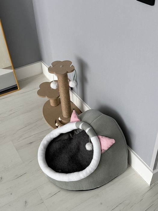 Продам котенка скоттиш фолд