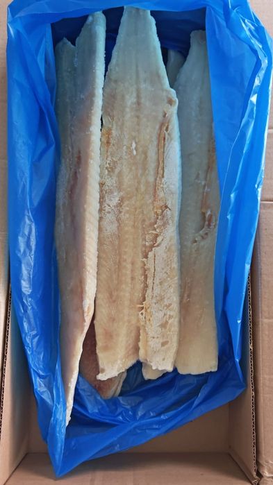 Филе щуки и сома коробками