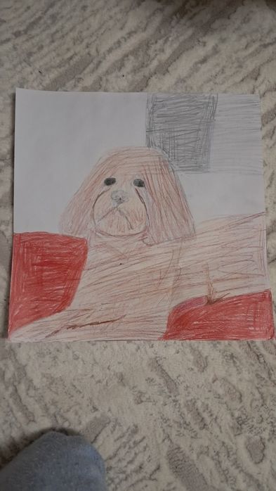Рисую ваших домашних животных