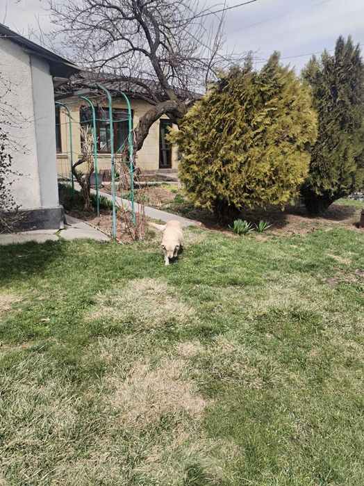 Продам дом п.Боролдай