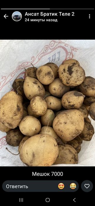 Продам картошку мешками