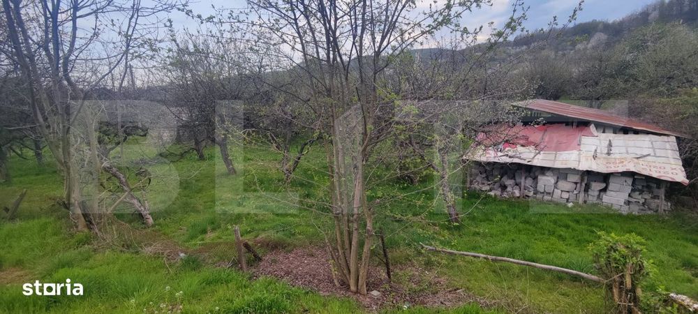 Teren Construibil 2900 mp cu 2 deschideri la asfalt – livada matura