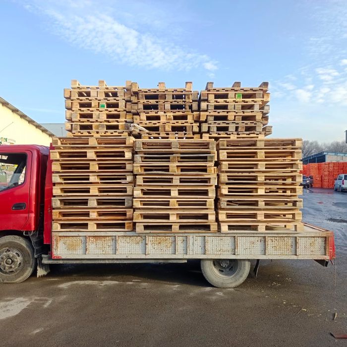 Поддон палеты поддон