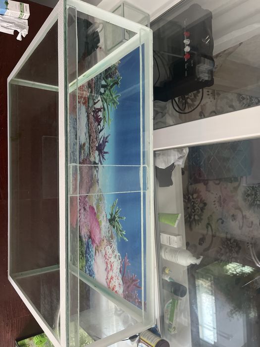 Аквариум продам