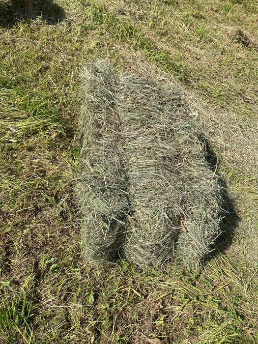 Baloti de fan, anul 2025