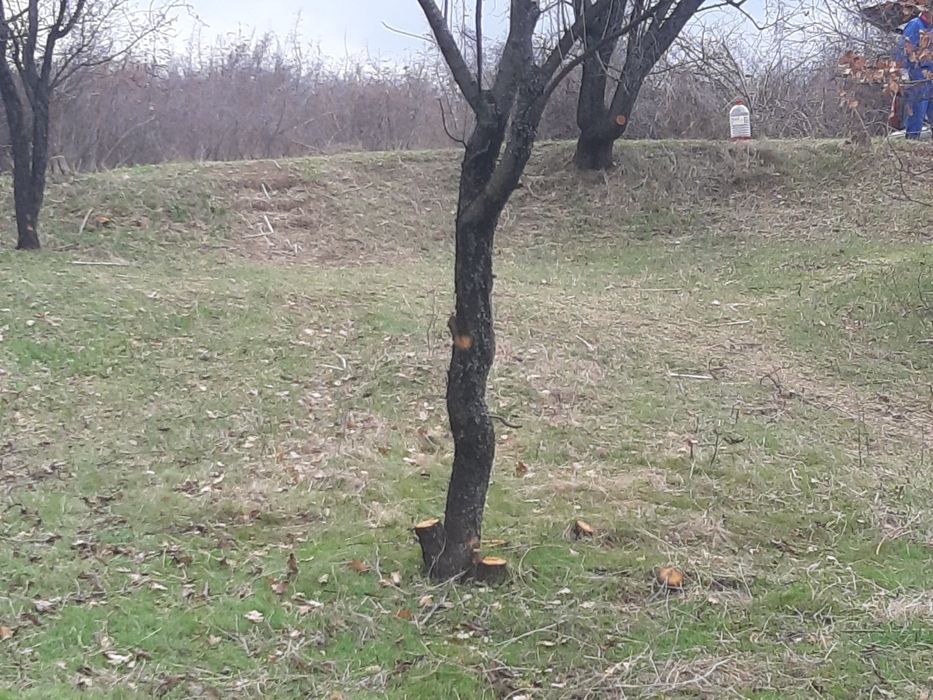 Продава се Земеделски имот в Стара Загора, Казански - изток -  кв.м за 12500 €/дка - Снимка #1