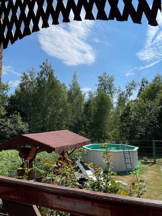 Cabana Matei • Arad • In mijlocul padurii