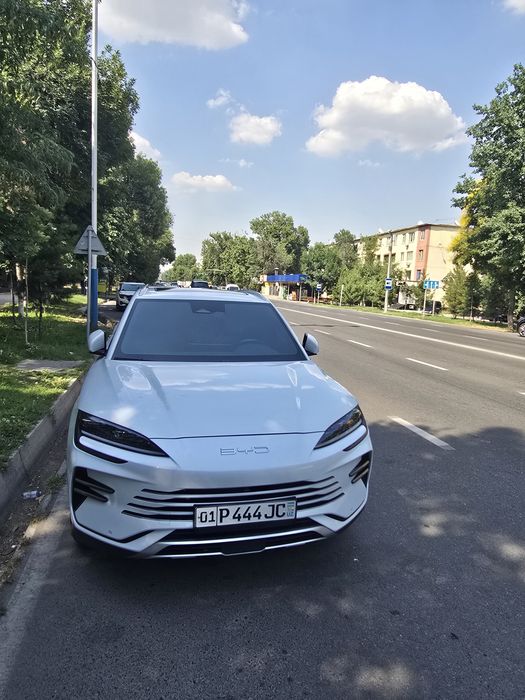 BYD CHEMPION full 150 tali