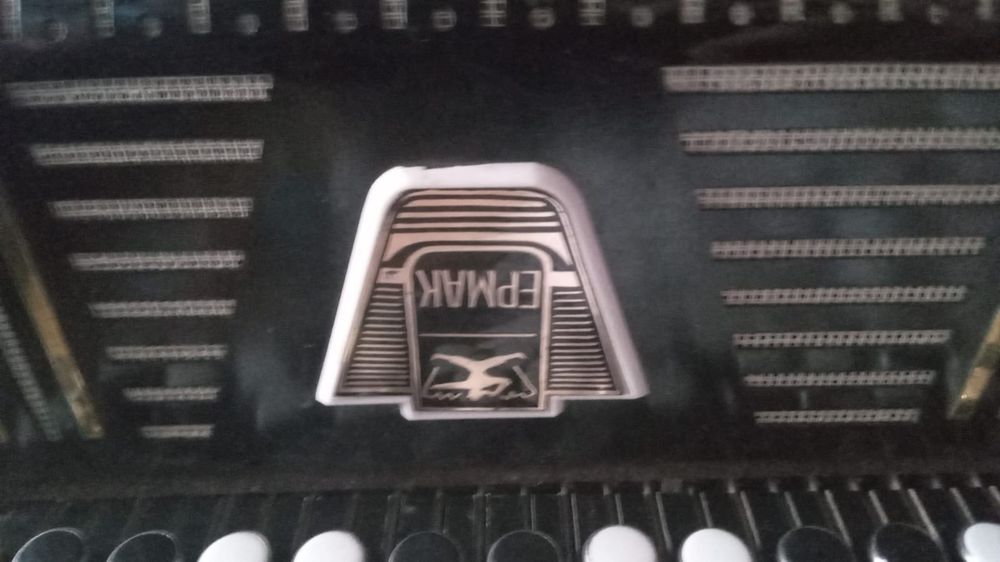 Баян 1981 жылгы ешкым колданбаган